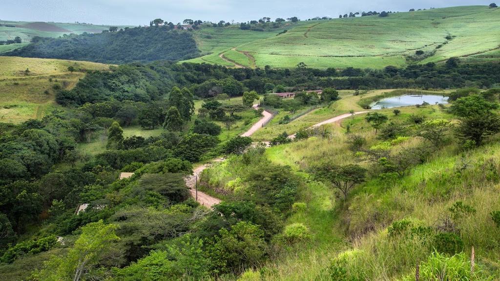 Rain Farm Game Lodge uMhlali Eksteriør bilde